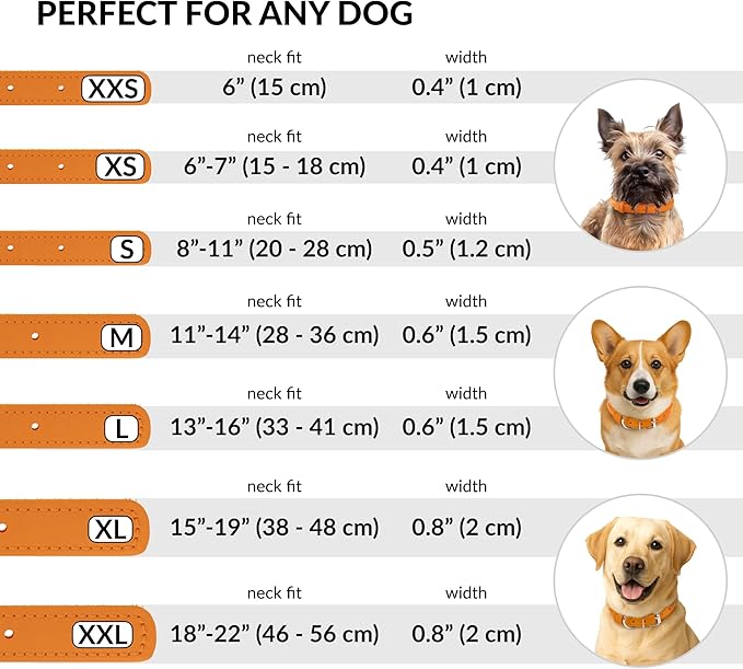 CollarDirect Rolled Leather Dog Collar, Soft Padded Round Puppy Collar, Handmade Genuine Leather Collar Dog Small Large Cat Collars 13 Colors (18-22 Inch, Orange Smooth)