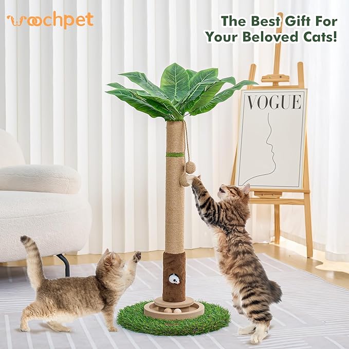 Cat Scratching Post 35&