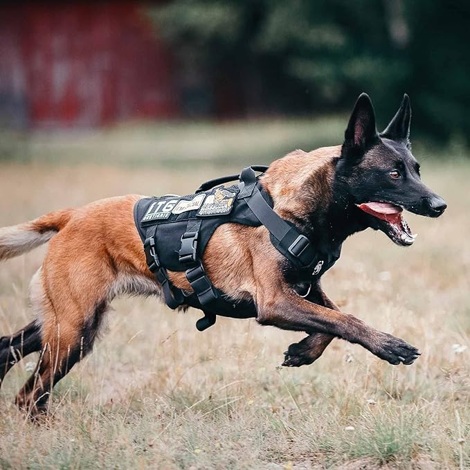 OneTigris No Pull Tactical Dog Harness for Medium Large Dogs, Mesh Design Breathable Military Dogs Molle Vests with Handles, Service Dog Vest Harness for Walking Hiking Training (XL, Black)