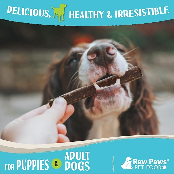 Raw Paws Wild-Caught Venison Dog Treats, 6-oz - Packed in USA - Real Meat Jerky - Single Ingredient Venison for Dogs