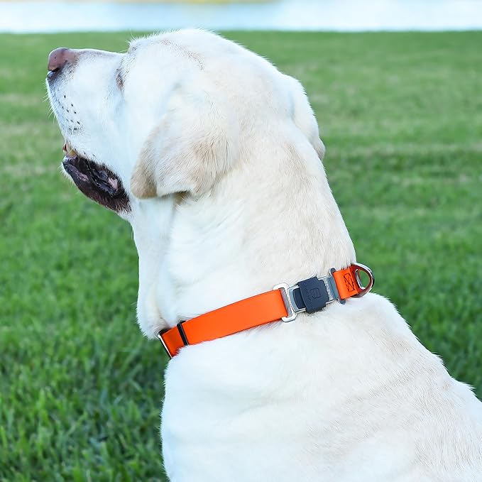 Dogline Biothane Waterproof Dog Collar with Herm Sprenger Black Stainless Steel Quick Release Buckle – Heavy Duty Tactical Durable Collar for Dogs – Comfortable and Safe Pet Collar, W 3/4" L 12-19"