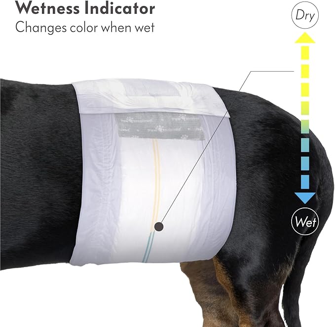 Paw Inspired Select Fit Male Dog Diapers, Disposable Male Wraps with Wetness Indicator| Belly Bands for Small, Medium, Large Dogs (Medium, 20 Count)