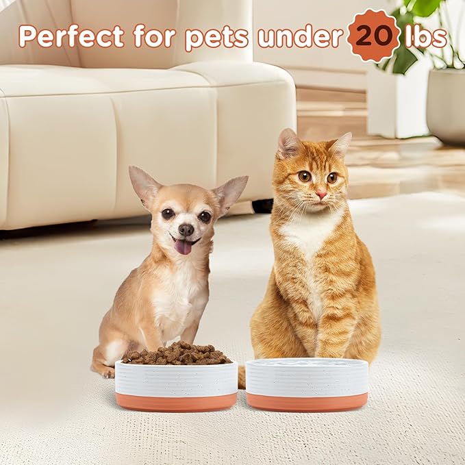 SPUNKYJUNKY Ceramic Dog and Cat Bowls 2 Pack, 5.1&