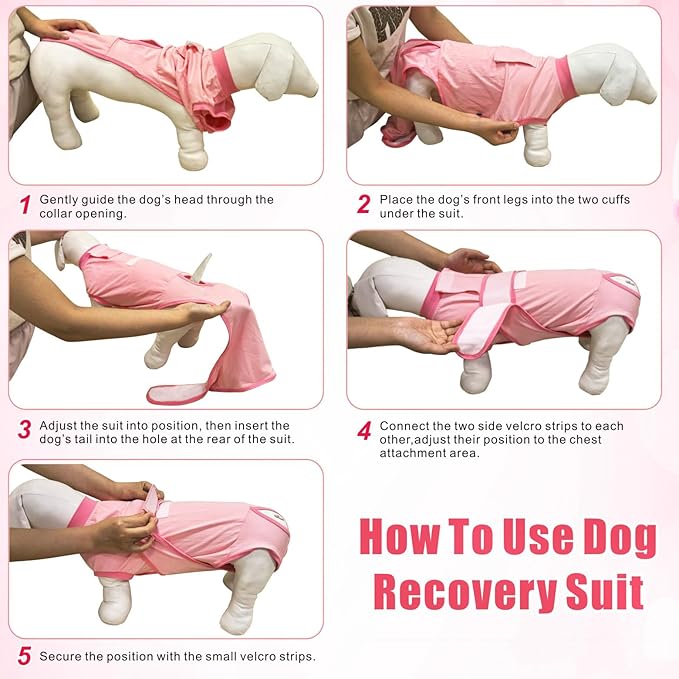 Idepet Dog Recovery Suit Female,Dogs Onesie Suit Surgery Male Breathable Pet Bodysuit for Spay Neuter E-Collar & Cone Alternative Surgical Suit Puppy Abdominal Anti Licking Wounds Shirt (Blue, XXL)
