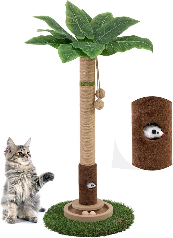Cat Scratching Post 35&