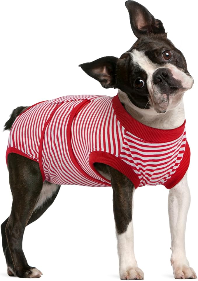 FUAMEY Dog Recovery Suit Male,Dogs Surgery Neuter Suits Puppy Spay Shirts for Female Protect Dog&