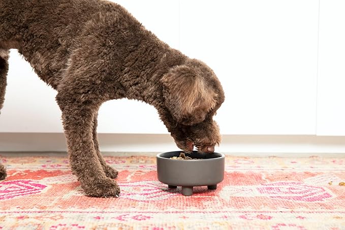 Waggo Uplift Ceramic Dog Bowl for Small Medium and Large Breeds - Heavyweight and Durable Pet Food and Water Dish Crock, Dishwasher Safe, Modern, Elevated Feeder (White, Large)