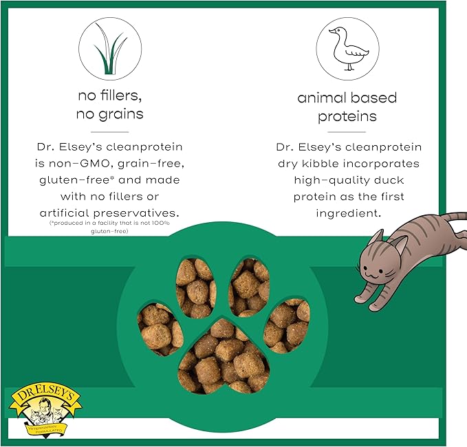 Dr. Elsey&