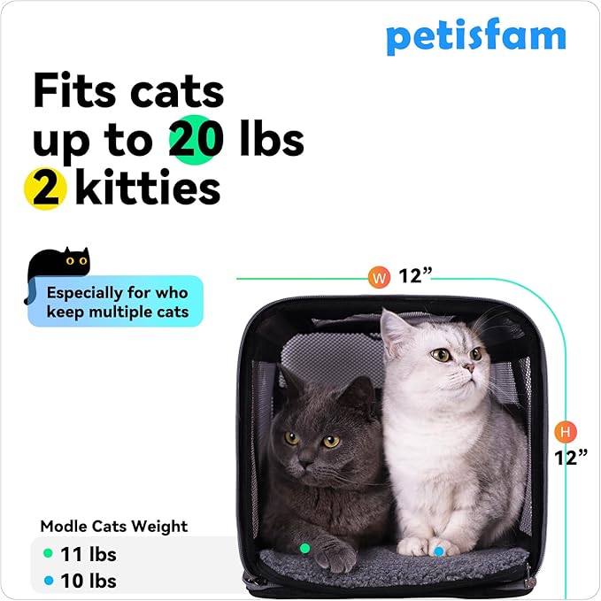 petisfam Soft Pet Carrier for Large and Medium Cats, 2 Kitties, Small Dogs. Easy to Get Cat in, Great for Cats That Don&