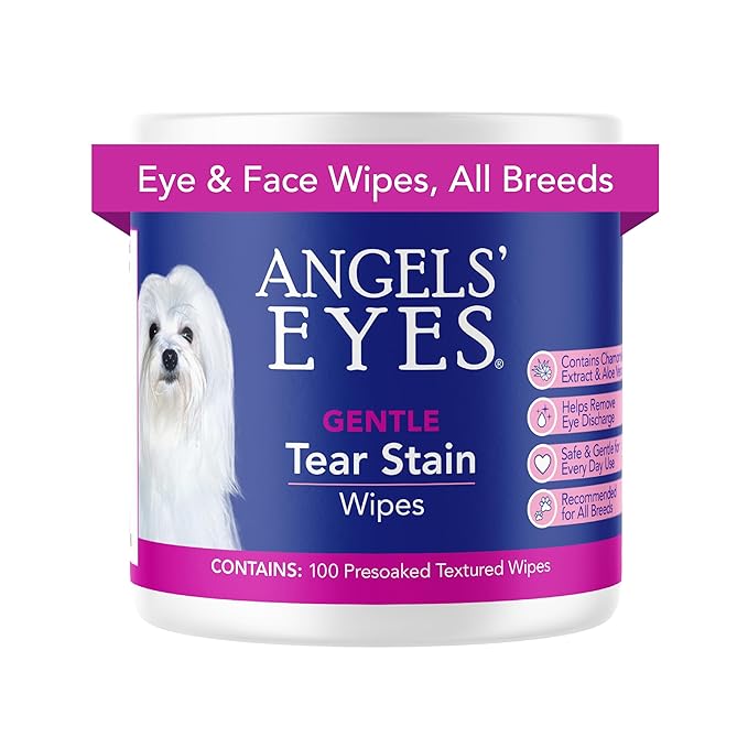 ANGELS&