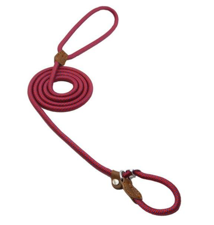 Nylon Pup Set β Premium Dog Collar & Leash | Reinforced Stitching, Soft Adjustable Fit & Modern Style