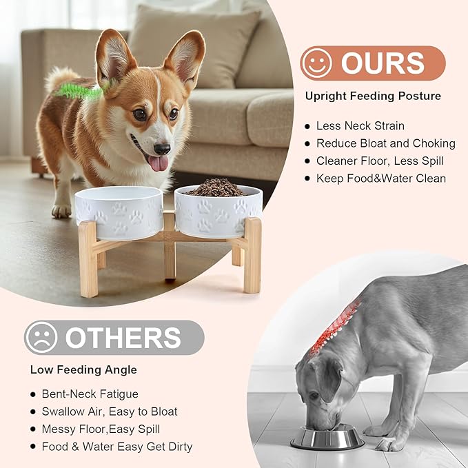 SPUNKYJUNKY Elevated Dog Bowls Ceramic, 6.1&