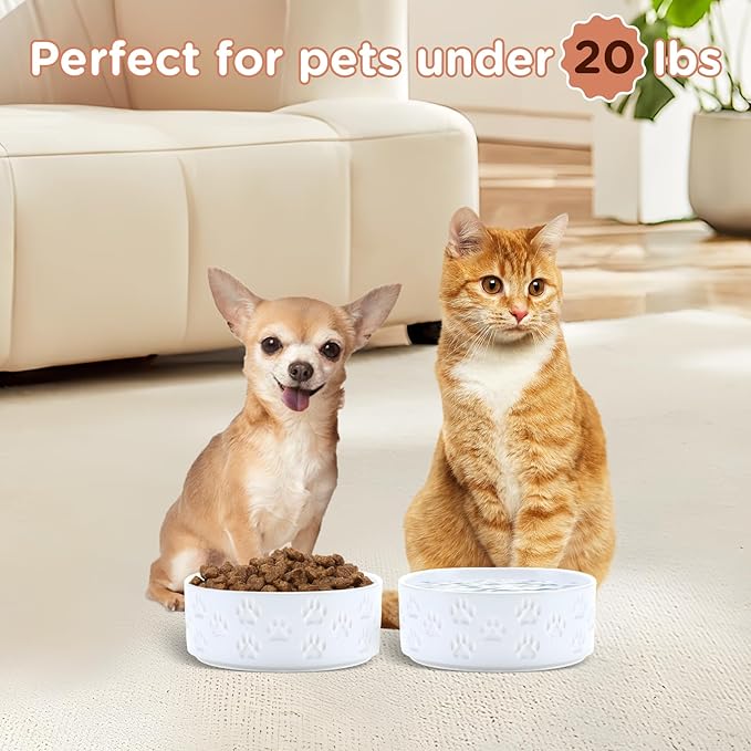 SPUNKYJUNKY Ceramic Dog and Cat Bowls 2 Pack, 5.1&
