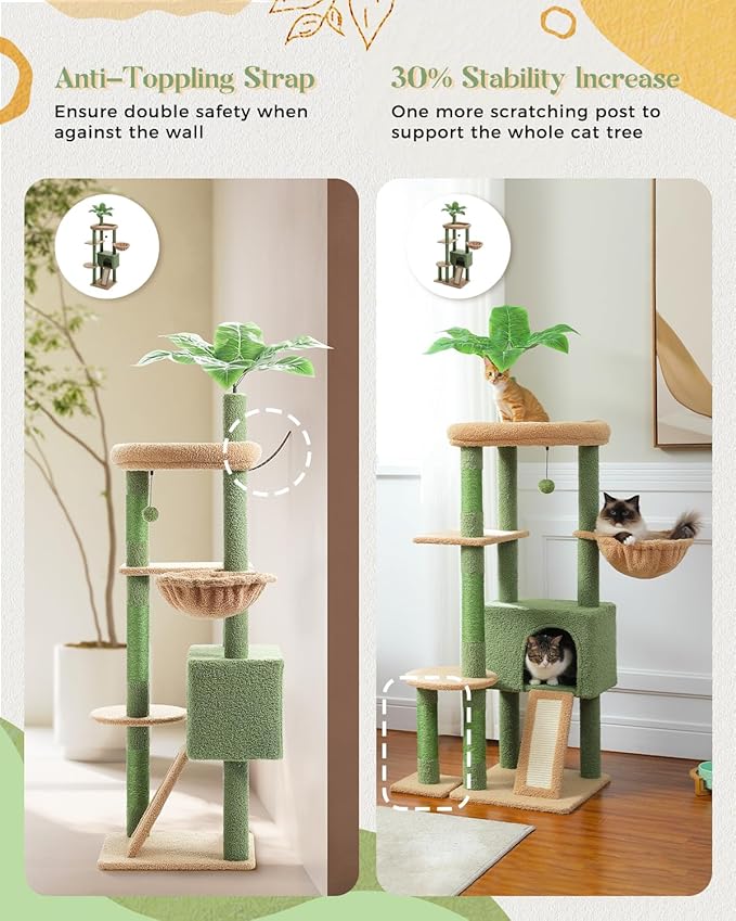 PEQULTI 53&