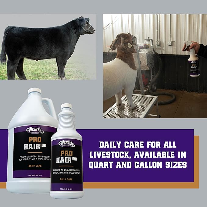 Weaver Leather Livestock Winner&