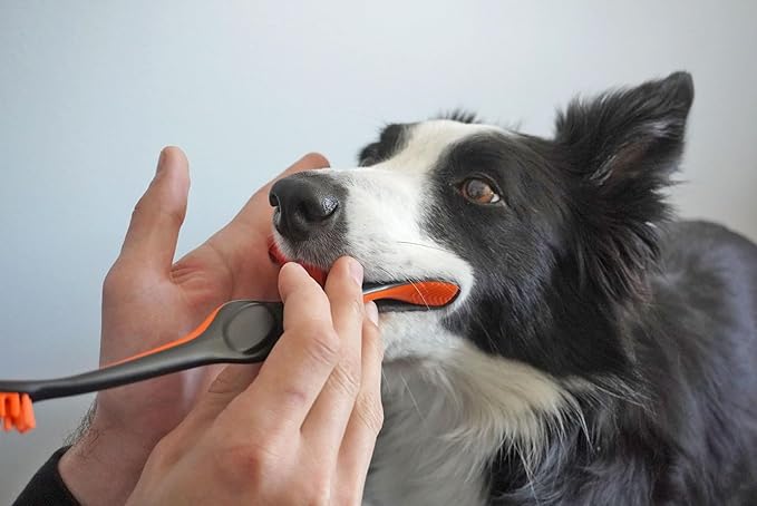 Pet Toothbrushing Assistant for Puppies&