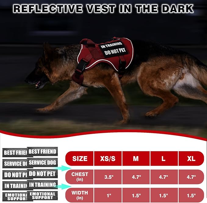 WINSEE Service Dog in Training Mesh Harness with 10 Pet Patches, Soft Air Mesh Breathable Tactical Dog Molle Vest, Reflective Military Pet Vest for Walking Hiking for Small Dogs