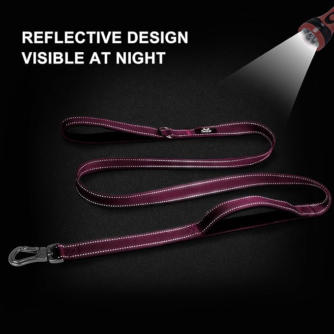 TwoEar 5FT 1IN Strong Rose Dog Leash with 2 Padded Handles, Traffic Handle Extra Control, Comfortable Soft Dual Handle, Auto Lock Hook, Reflective Walking Lead for Small Medium and Large Dogs