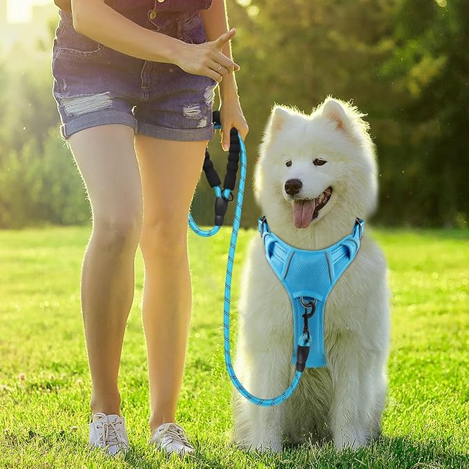 BARKBAY Dog Harness No Pull with ID Tag Pocket - Heavy Duty, Reflective, Easy Control for Large Dogs(Blue,XL)