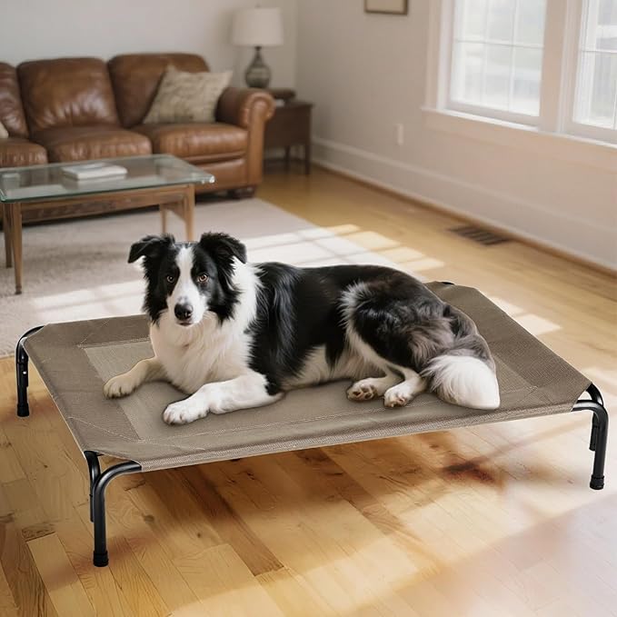Elevated Dog Bed Outdoor, Medium Raised Cooling Dogs Cot, Lifted Pet Beds with Durable Breathable Teslin Mesh, Pet&
