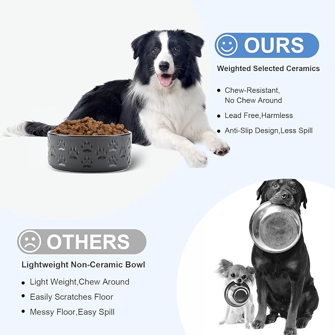 SPUNKYJUNKY Ceramic Dog Bowls 2 Pack, 7.3&