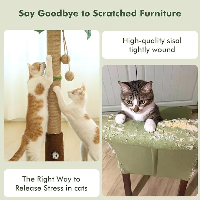 Cat Scratching Post 35&