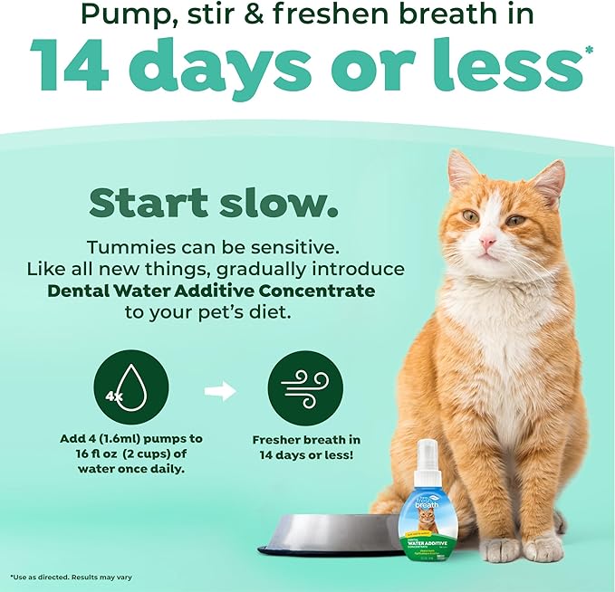TropiClean Fresh Breath Drops for Cats Travel Size | Cat Mouthwash | Water Additive For Cats | Kitten Bad Breath Water Additive | Made in the USA | 2.2 oz.
