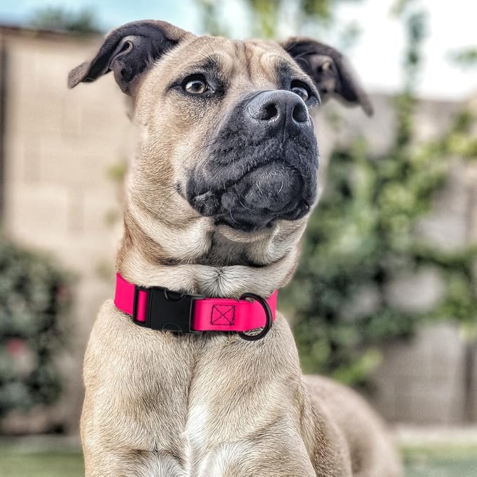 Dogline Biothane Waterproof Dog Collar with Quick Release Buckle Strong Coated Nylon Webbing with Odor- Proof for Easy Care Easy to Clean Fits Small Medium or Large Dogs, Pink 3/4" W 12-19" L