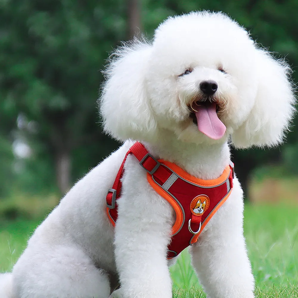 No Pull Harness and Leash set For Small Dogs
