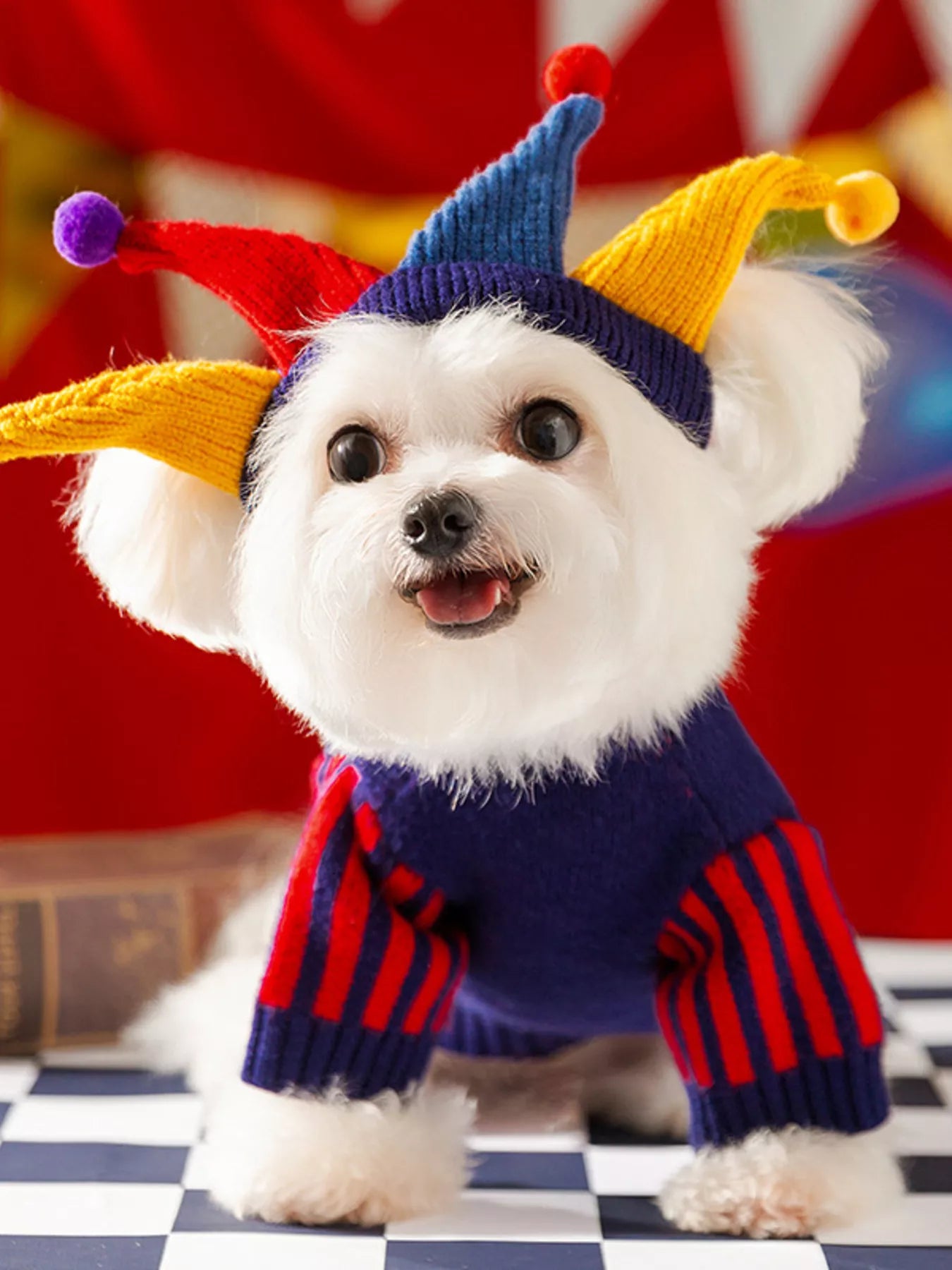 Ribbed Knit Pet Sweaters
