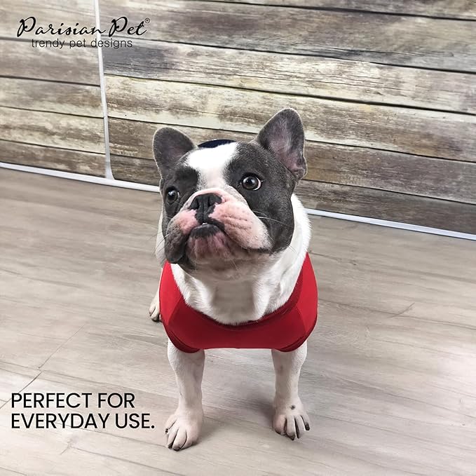 Parisian Pet Embroidered &