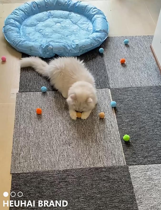 19-Piece Cat Toy Variety Pack for Kittens and Indoor Cats (1.5&