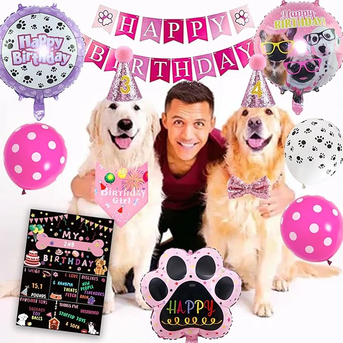 Dog Party Supplies Decorations - Cute Bandana, Let&