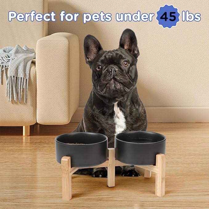 SPUNKYJUNKY Elevated Dog Bowls Ceramic, 6.1&