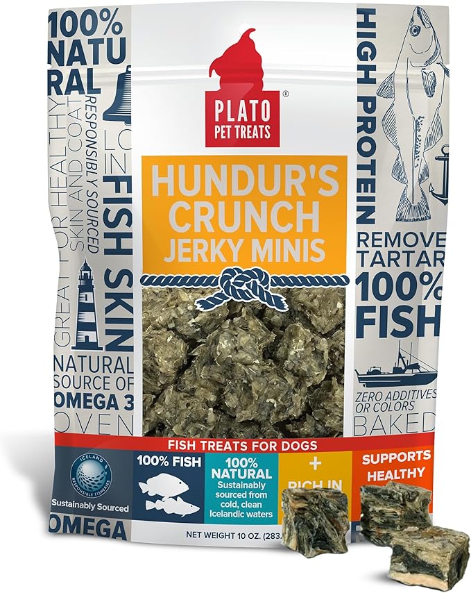 PLATO Hundur&