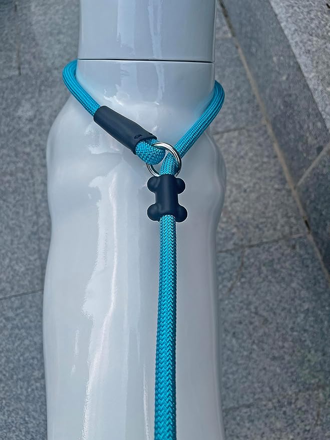 Slip Lead Dog Leash,Strong Nylon Rope Leash and Padded Handle,No Pull Outdoor Walking Training Lead for Small Medium Large Dogs(Blue, 1/2"×6ft)