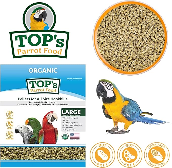 TOP&