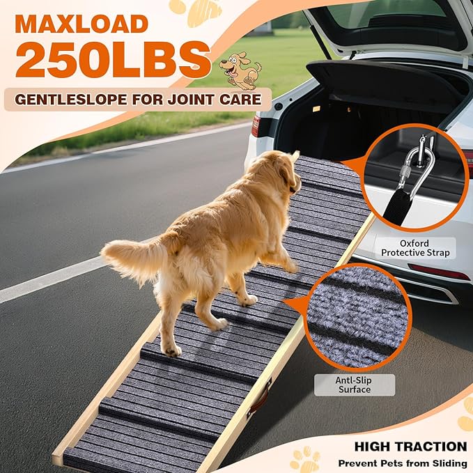 Dog Ramp for Car, 71&