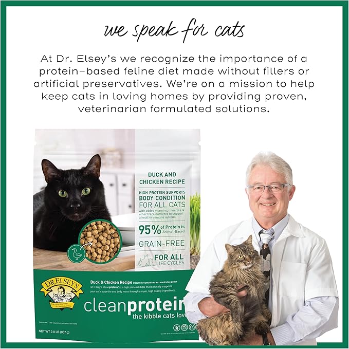 Dr. Elsey&