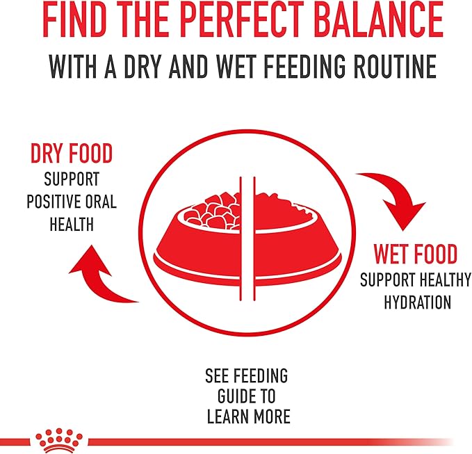 Royal Canin Persian Adult Breed Specific Loaf in Sauce Adult Wet Cat Food, 3 oz can (6-Pack)