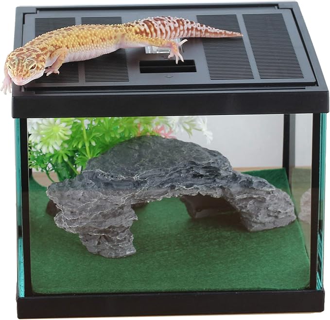 crapelles Glass Lizard Tank, Spider Box Kit, 7.8x7.8x5.9&