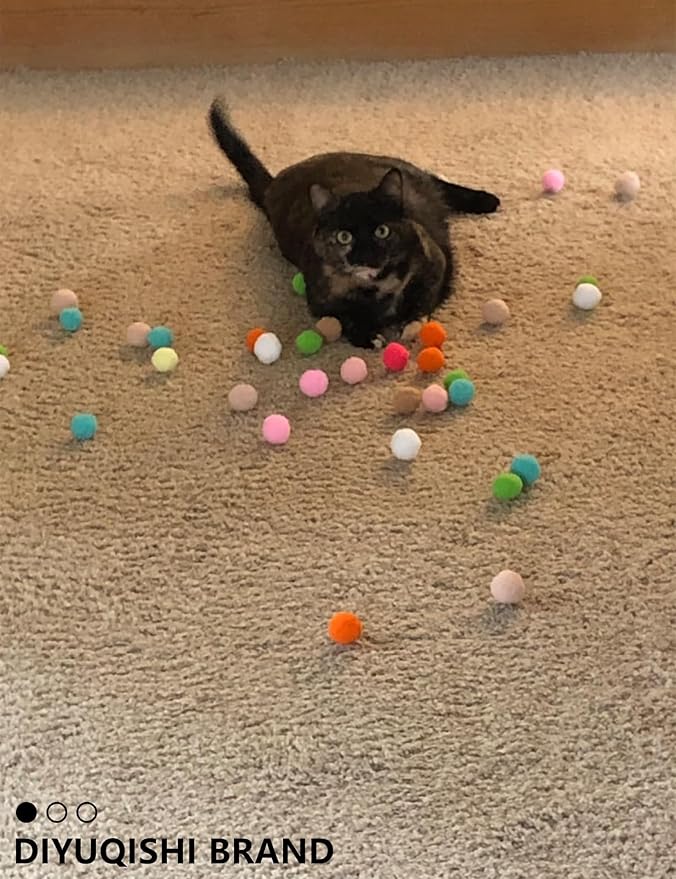 40-Piece Cat Toy Set for Indoor Cats and Kittens (1.5&