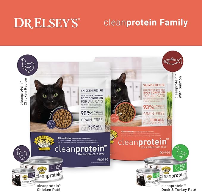Dr. Elsey&