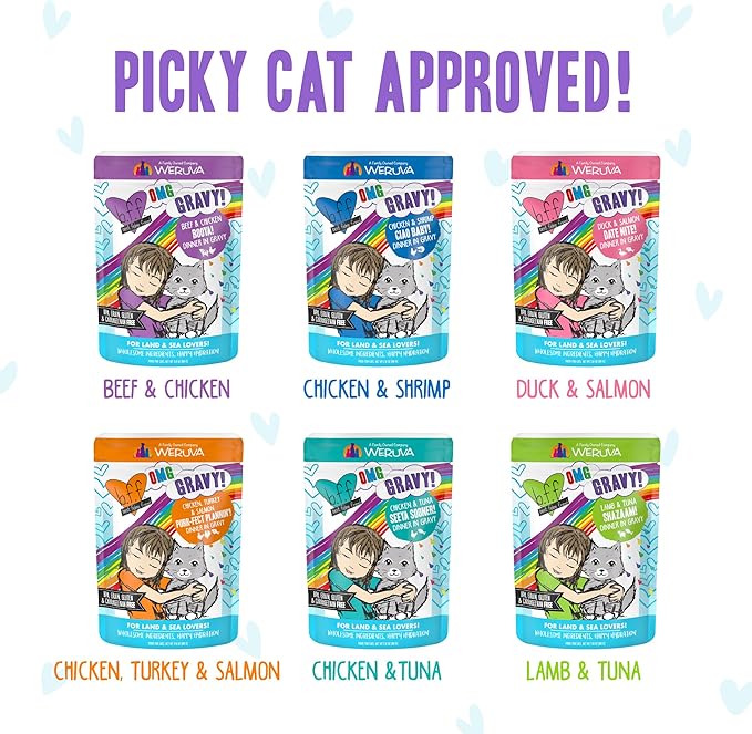 Weruva B.F.F. OMG - Best Feline Friend Oh My Gravy!, Variety Pack, Potluck O&