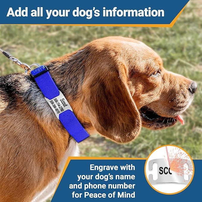 GoTags Personalized Dog Collar with Nameplate, Adjustable Dog Collar with Custom Engraved Slide On Pet ID Tag in Stainless Steel, Silent, No Noise Dog Tag (Lavender, Medium)