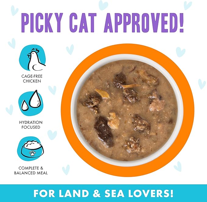 Weruva B.F.F. OMG - Best Feline Friend Oh My Gravy!, Purr-FECT Plannin&