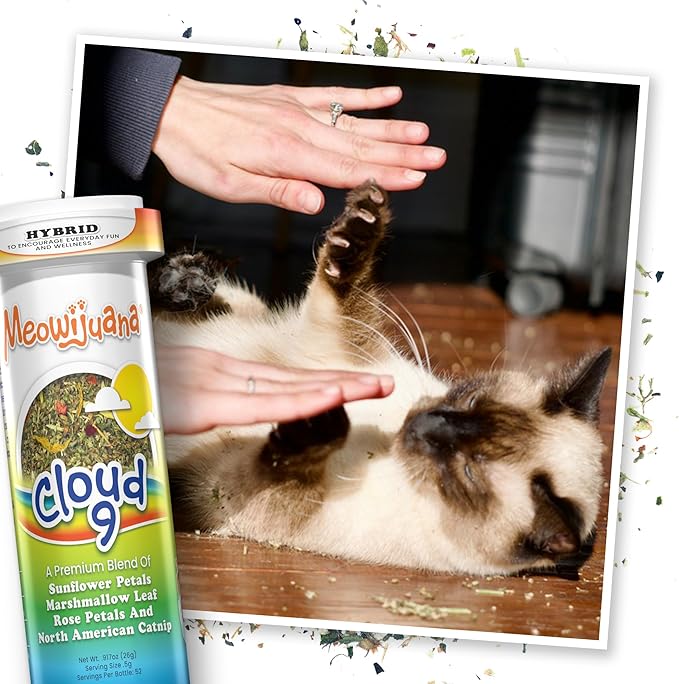 Meowijuana Rainbow Bundle | Get Kickin&