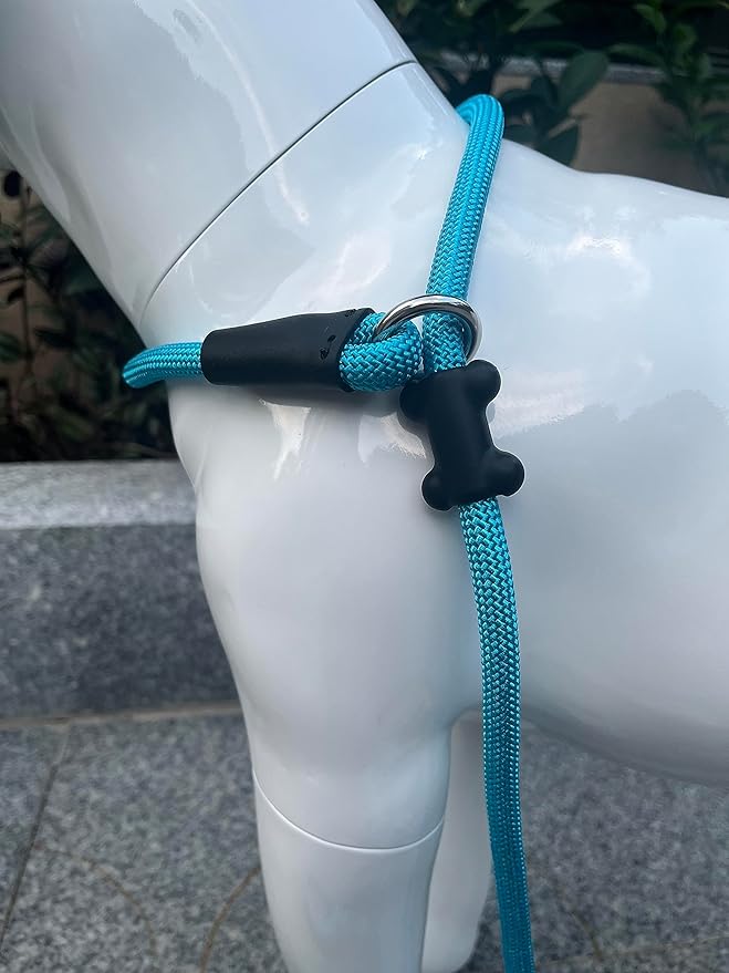Slip Lead Dog Leash,Strong Nylon Rope Leash and Padded Handle,No Pull Outdoor Walking Training Lead for Small Medium Large Dogs(Blue, 1/2"×6ft)