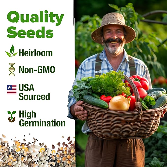 HOME GROWN 12 Winter Vegetable Seeds π‘π’π‘-ππ π’ Heirloom,Fall & Winter Vegetable Seeds for Planting Home Garden: Bean, Beet, Broccoli, Cabbage, Carrot, Cauliflower, Kale,Parsnip,Squash,Chard & More