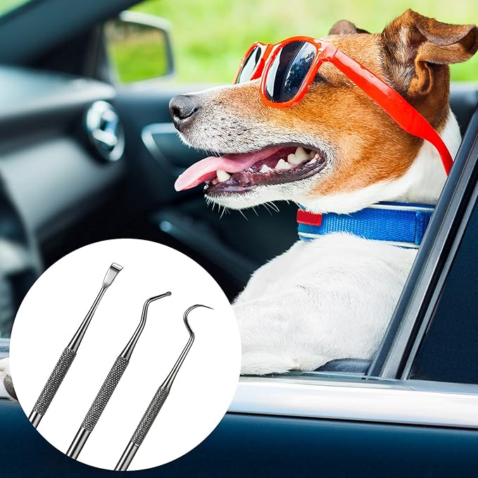Hotop 3 Pieces Dog Dental Tooth Scaler and Scraper Stainless Double Headed Tarter Removing Tool Scraper Pet Teeth Cleaning Tools for Dog and Cat